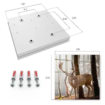 Tableau décoratif Des cerfs dans la forêt au coucher du soleil