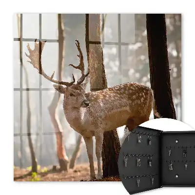 Tableau décoratif Des cerfs dans la forêt au coucher du soleil