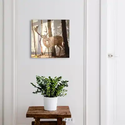 Tableau décoratif Des cerfs dans la forêt au coucher du soleil