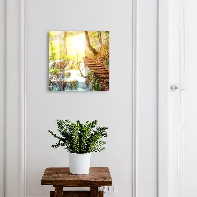 Un coin de forêt dans la forêt verte