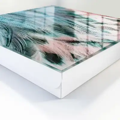 Plumes bleu pastel et rose