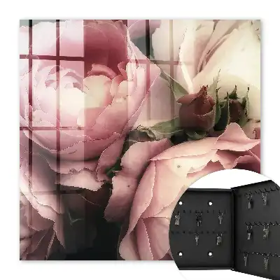 La beauté des roses dans les nuances