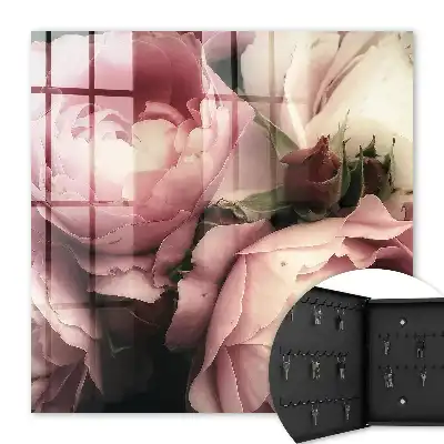 La beauté des roses dans les nuances