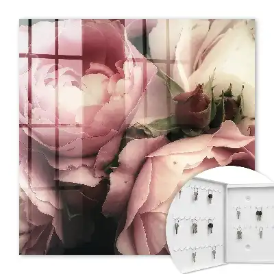 La beauté des roses dans les nuances