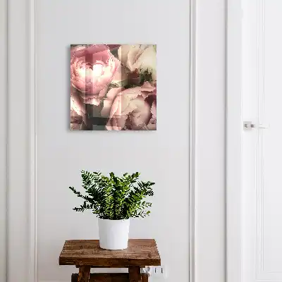 La beauté des roses dans les nuances