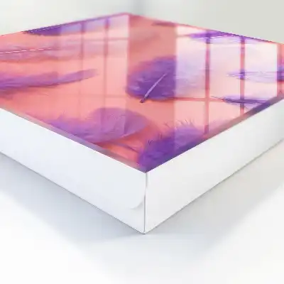 Plumes violettes sur fond rose