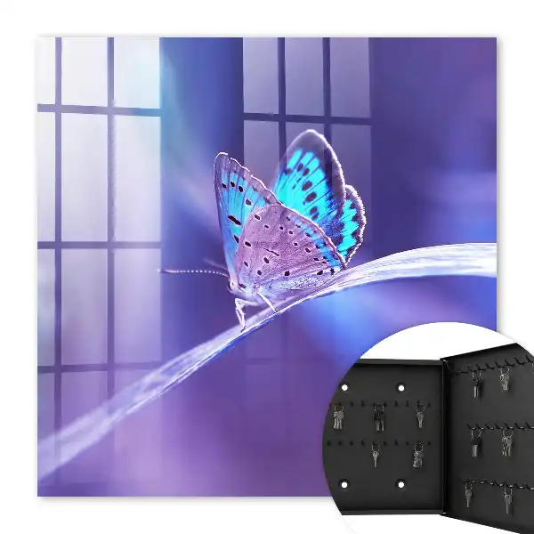 Papillon coloré sur fond violet
