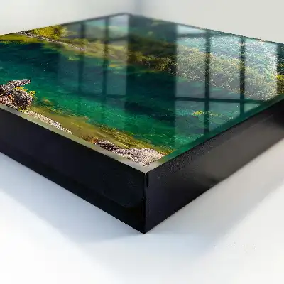 Idylle montagnarde dans une eau verte