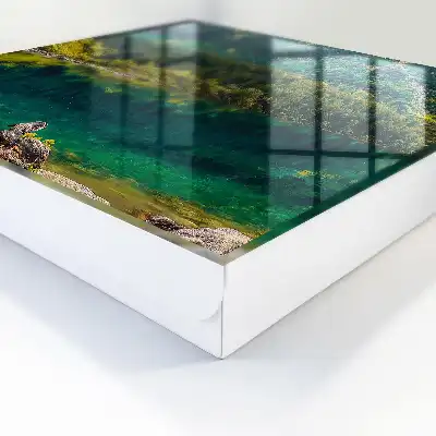 Idylle montagnarde dans une eau verte