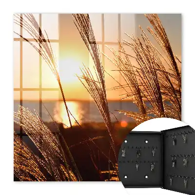 Tableau paysage coucher de soleil sur la mer avec herbes marines