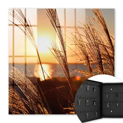 Tableau paysage coucher de soleil sur la mer avec herbes marines