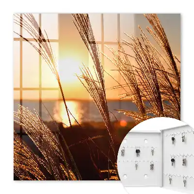 Tableau paysage coucher de soleil sur la mer avec herbes marines