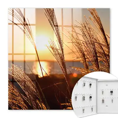 Tableau paysage coucher de soleil sur la mer avec herbes marines