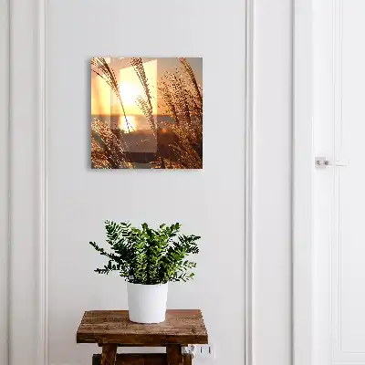 Tableau paysage coucher de soleil sur la mer avec herbes marines