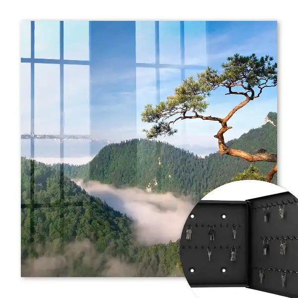 Paysage de montagne avec sommets enneigés