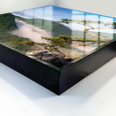 Paysage de montagne avec sommets enneigés