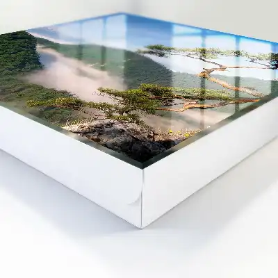 Paysage de montagne avec sommets enneigés