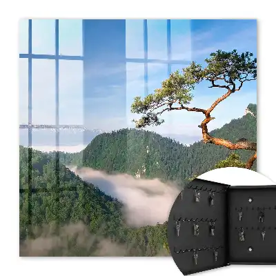 Paysage de montagne avec sommets enneigés
