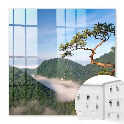 Paysage de montagne avec sommets enneigés