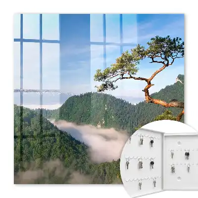 Paysage de montagne avec sommets enneigés