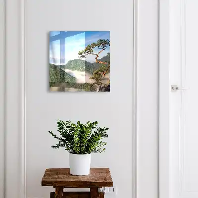 Paysage de montagne avec sommets enneigés
