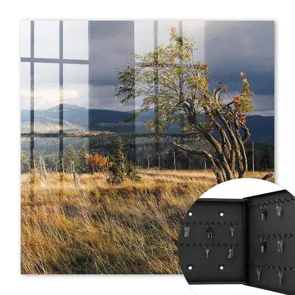 Paysage d'automne avec arbres et ciel