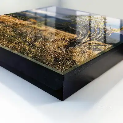 Paysage d'automne avec arbres et ciel