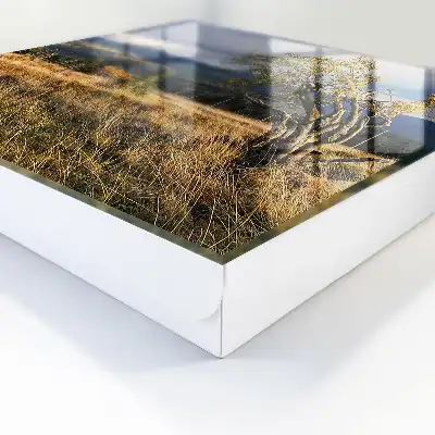 Paysage d'automne avec arbres et ciel