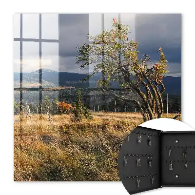 Paysage d'automne avec arbres et ciel
