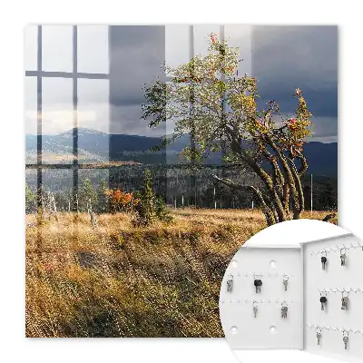 Paysage d'automne avec arbres et ciel