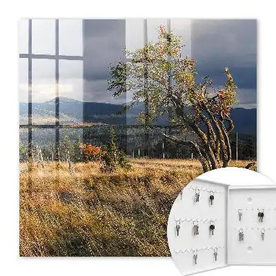 Paysage d'automne avec arbres et ciel