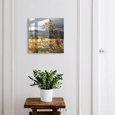 Paysage d'automne avec arbres et ciel