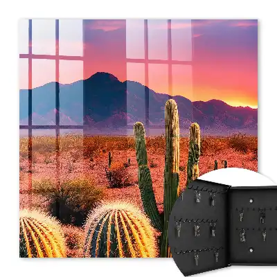 Paysage de désert occidental avec des cactus