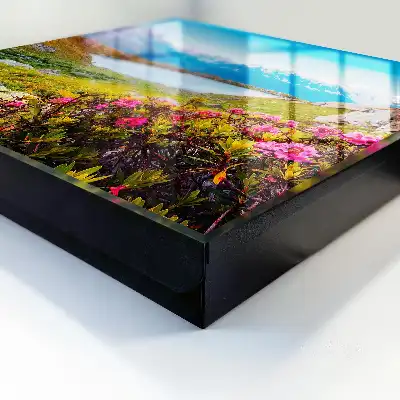 Paysage de montagne aux couleurs vives