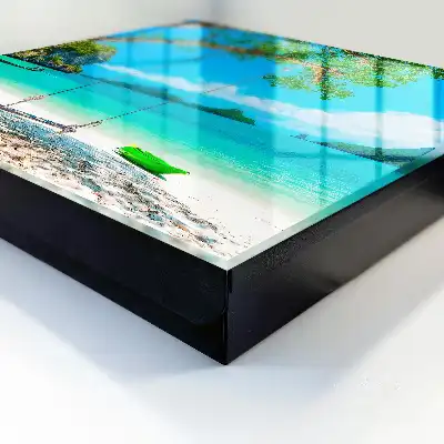 Paradis tropical vert mer
