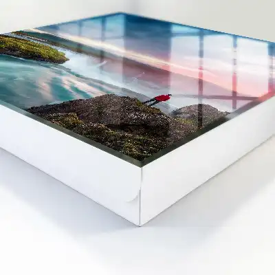 La puissance de la nature dans les falaises rocheuses