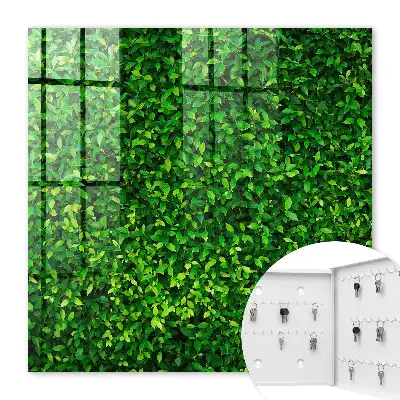 Un jardin verdoyant apporte la paix