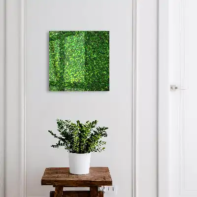 Un jardin verdoyant apporte la paix