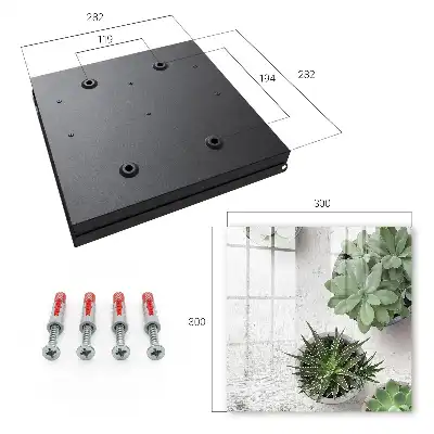 Plantes succulentes vertes sur fond clair