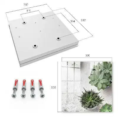 Plantes succulentes vertes sur fond clair