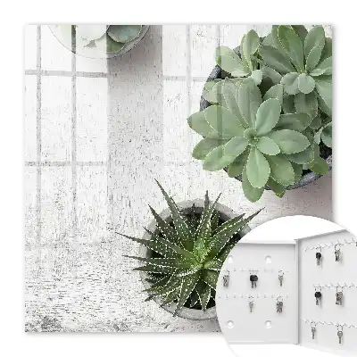 Plantes succulentes vertes sur fond clair