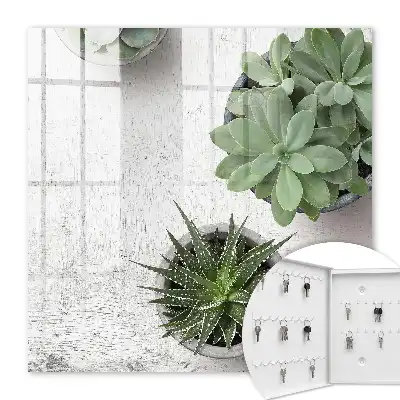 Plantes succulentes vertes sur fond clair