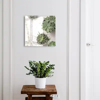 Plantes succulentes vertes sur fond clair