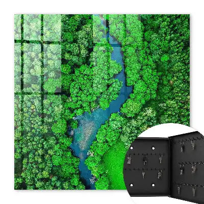 Les forêts vertes forment un tout harmonieux