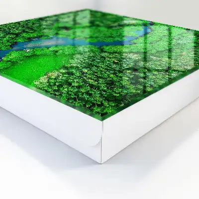 Les forêts vertes forment un tout harmonieux