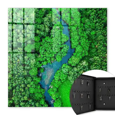 Les forêts vertes forment un tout harmonieux