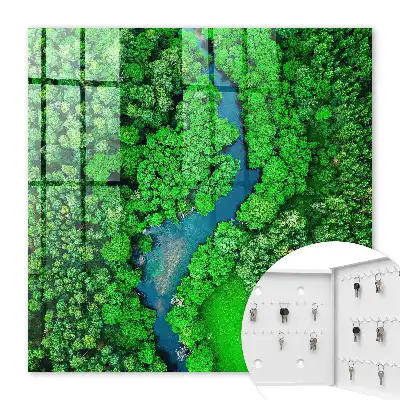 Les forêts vertes forment un tout harmonieux