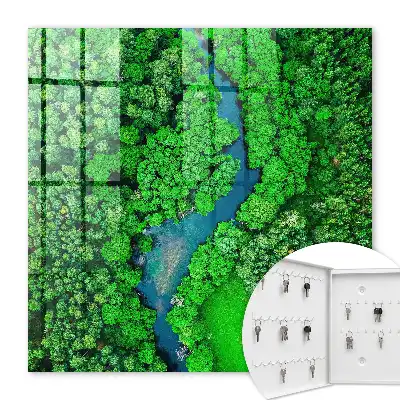 Les forêts vertes forment un tout harmonieux