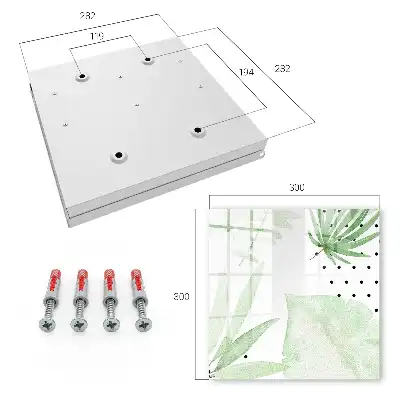 Feuilles vertes sur fond blanc