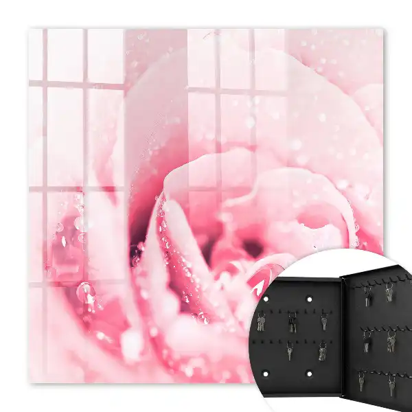 Délice de rose aux gouttes de rosée